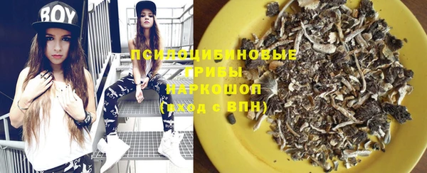 молекула духа Алзамай