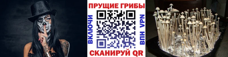 hydra ССЫЛКА  Мамоново  Галлюциногенные грибы Magic Shrooms 